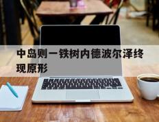 中岛则一铁树内德波尔泽终现原形的简单介绍