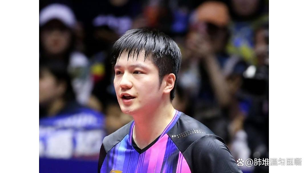 樊振东昨晚比赛视频