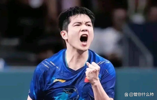 樊振东昨晚比赛视频